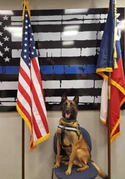 K-9  Officer Rex, obituary — Coker-Mathews Funeral Home